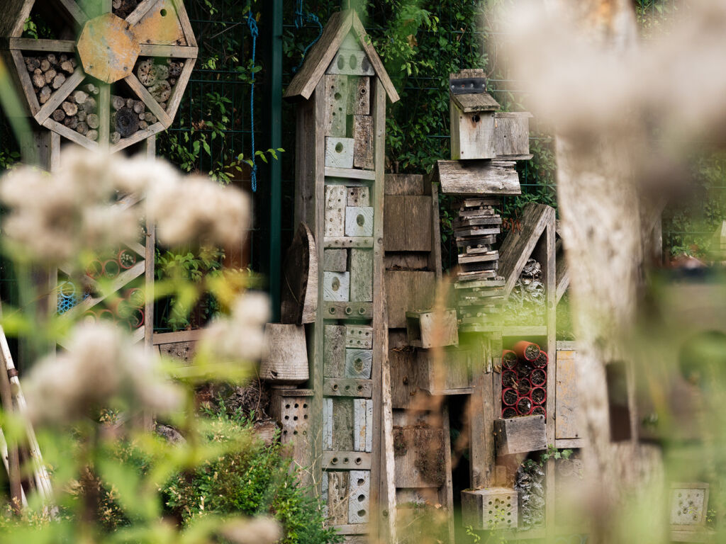 Bug hotels at Stave Hill Ecological Park, Canada Water