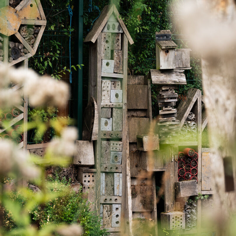 Bug hotels at Stave Hill Ecological Park, Canada Water