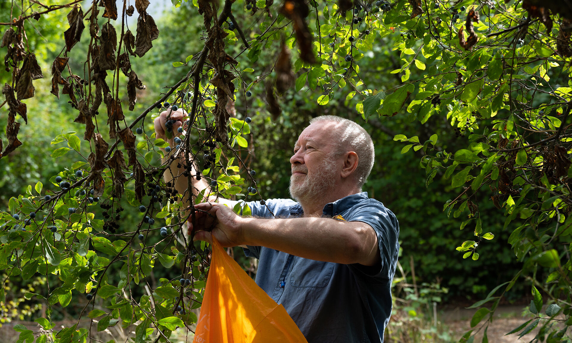 Volunteering at Stave Hill Ecological Park, Canada Water