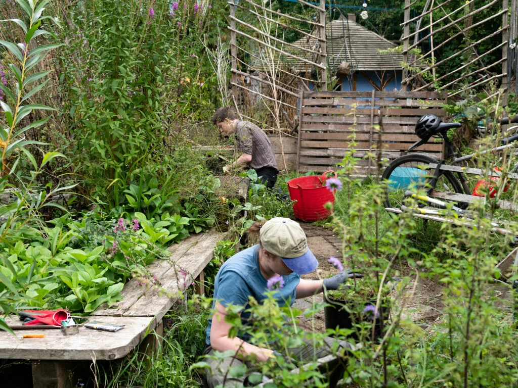 Volunteers at Stave Hill Ecological Park Canada Water