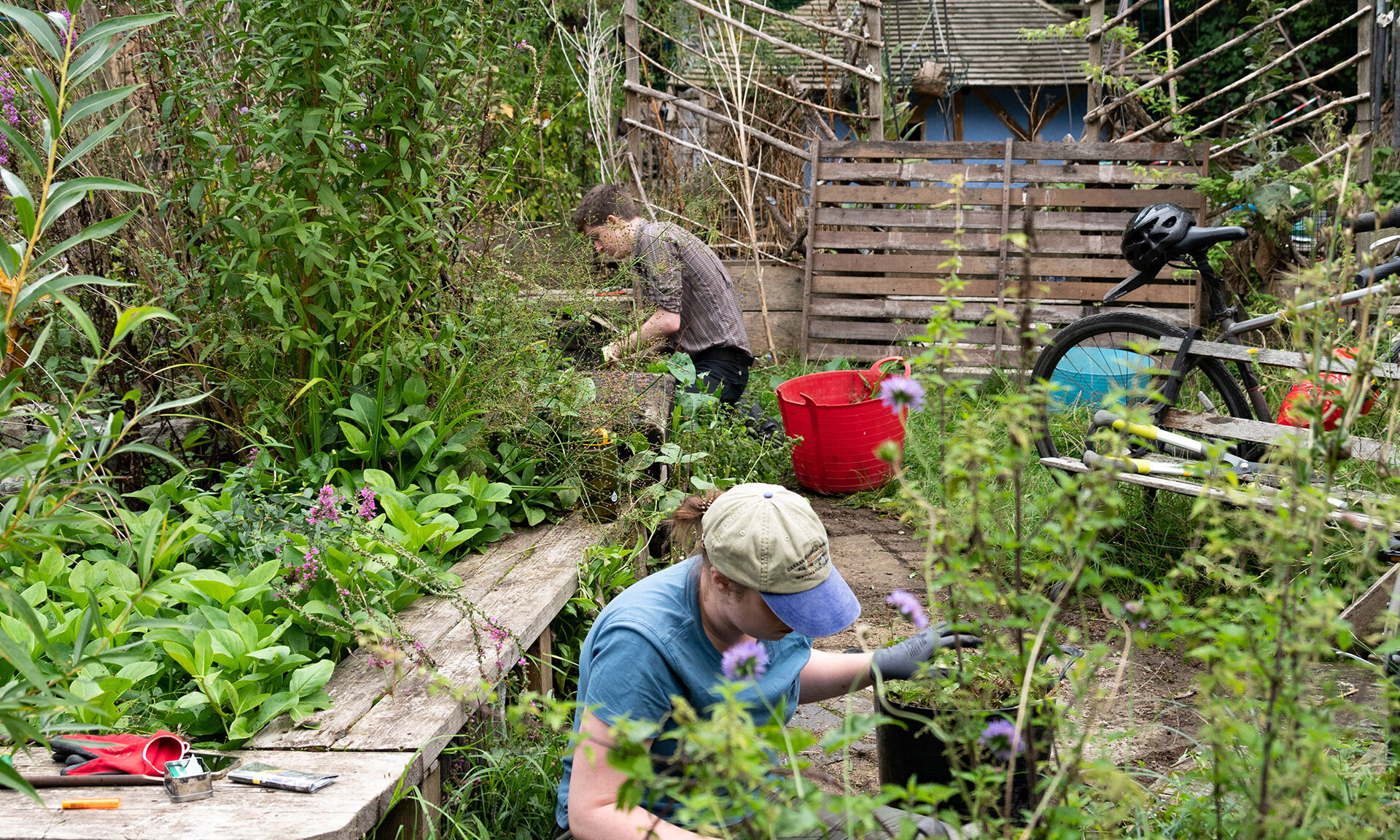 Volunteers at Stave Hill Ecological Park Canada Water