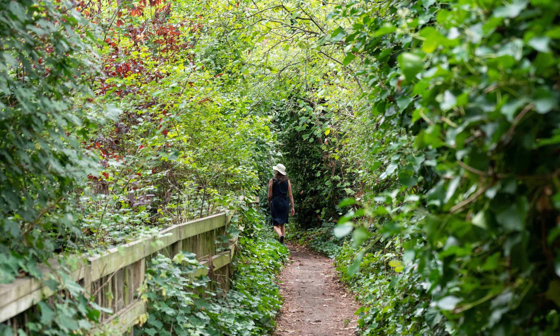 nature park at dockside canada water